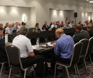 Member Committees.