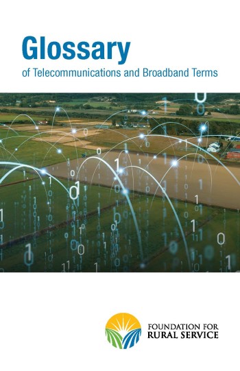 Cover of Glossary